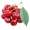 Eva Red Cherry