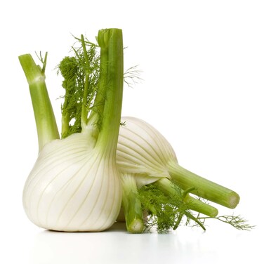 Fennel