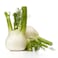 Fennel