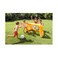 Intex Pool Games Water Polo 58507