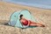 Bestway Pavillo Tent Beach Quick 200x120x90Cm