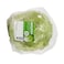 Iceberg Lettuce Per Piece