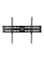 Newstar Tv Wall Mount Black