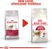 Royal Canin FHN Feline Health Nutrition Fit 32 10kg Adult Cat Dry Food