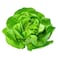 Armela Green Butterhead Lettuce 1 Piece