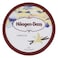 Haagen Dazs Pint Vanilla Ice Cream 460ml