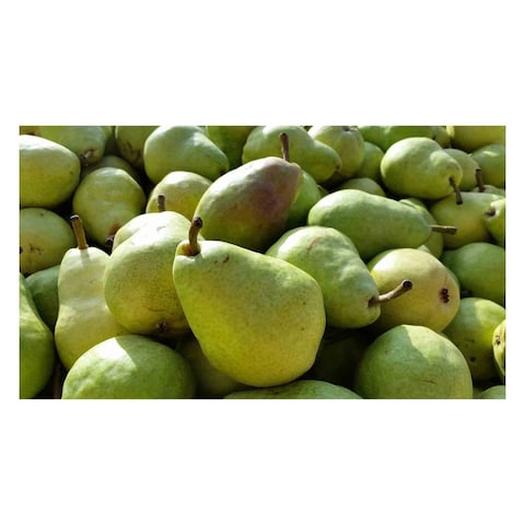 Green Pear