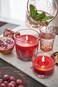Bolsius Apple Cinnamon Candle In Glass