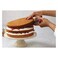 Home Pro Stainless Steel Cake Lifter 1 Piece Assorted
