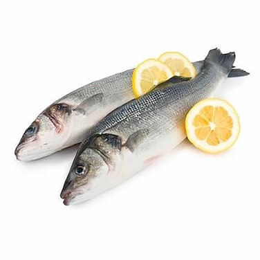 Big Seabass- Big Sized -1-3PC/K)