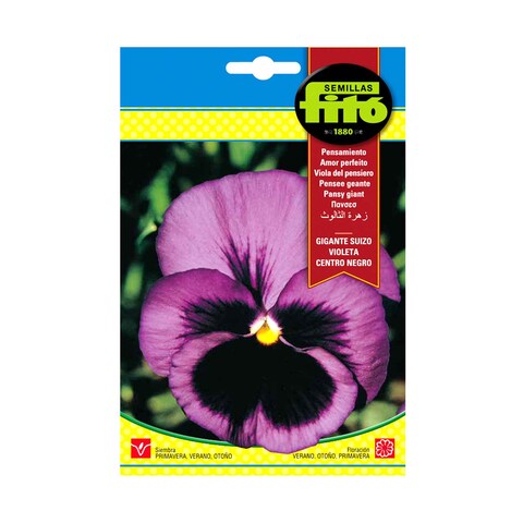 Fito Seeds Pansy Giant Purple