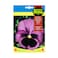 Fito Seeds Pansy Giant Purple