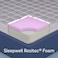 Sleepwell Utsav 2.0 Resitec Foam Super King Bed Size Medium Firm Neem Fresche Technology Anti Sag Mattress (200L x 200W x 15H cm)