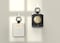 National Geographic Ring Strap Crystal Slim Fit Case V2 Galaxy Z Flip5 With Beige Ring Strap - Transparent