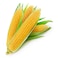 Sweet Corn