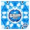 Hershey&#39;s Ice Breaker Coolmint Mints Candy 42g