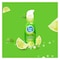 FUN TIME LUBE MOJITO75ML