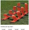 ULTIMAX Agility Training Hurdles Pack of 5 Visibility Speed Endurance for Track &amp; Field Fences for Sports Coaching Indoor/Outdoor Practice Equipment -23cm