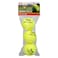 Supreme Sports Coaching Tennis Ball Green 3 PCS