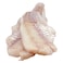 Frozen Rock Cod Fillet 1
