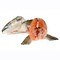 Fresh Salmon Head
