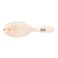 Hair Brush