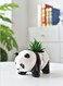 Generic 3 Pcs Lovely Panda Succulent Ceramic Flower Pot Cute Animal Mini Green Plant Basin Planter Home Decoration Fairy Gardening