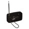 Toshiba Pocket Radio TX-PR20 Black