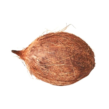 Coconut