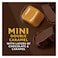 Magnum Mini Chocolate Double Caramel 360ml