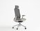 Navodesk Nio, Ergonomic, Premium Office &amp; Computer Chair With Lumbar Support, Adjustable Seat, Sky Grey