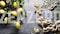 Veloforte Zenzero Energy Bar - Lemon, Ginger and Pistachios  - 9 count x 62g