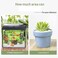Vsell24 3Kg White Decorative Pebbles Natural River Rock Pebbles For Plants, Home DIY Decor,Aquarium Gravel,Vase Fillers,Fairy Garden,Landscaping Outdoor Stones 3-5mm
