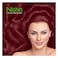 Nisha Cream Hair Color 40ml  Burgundy 3.16