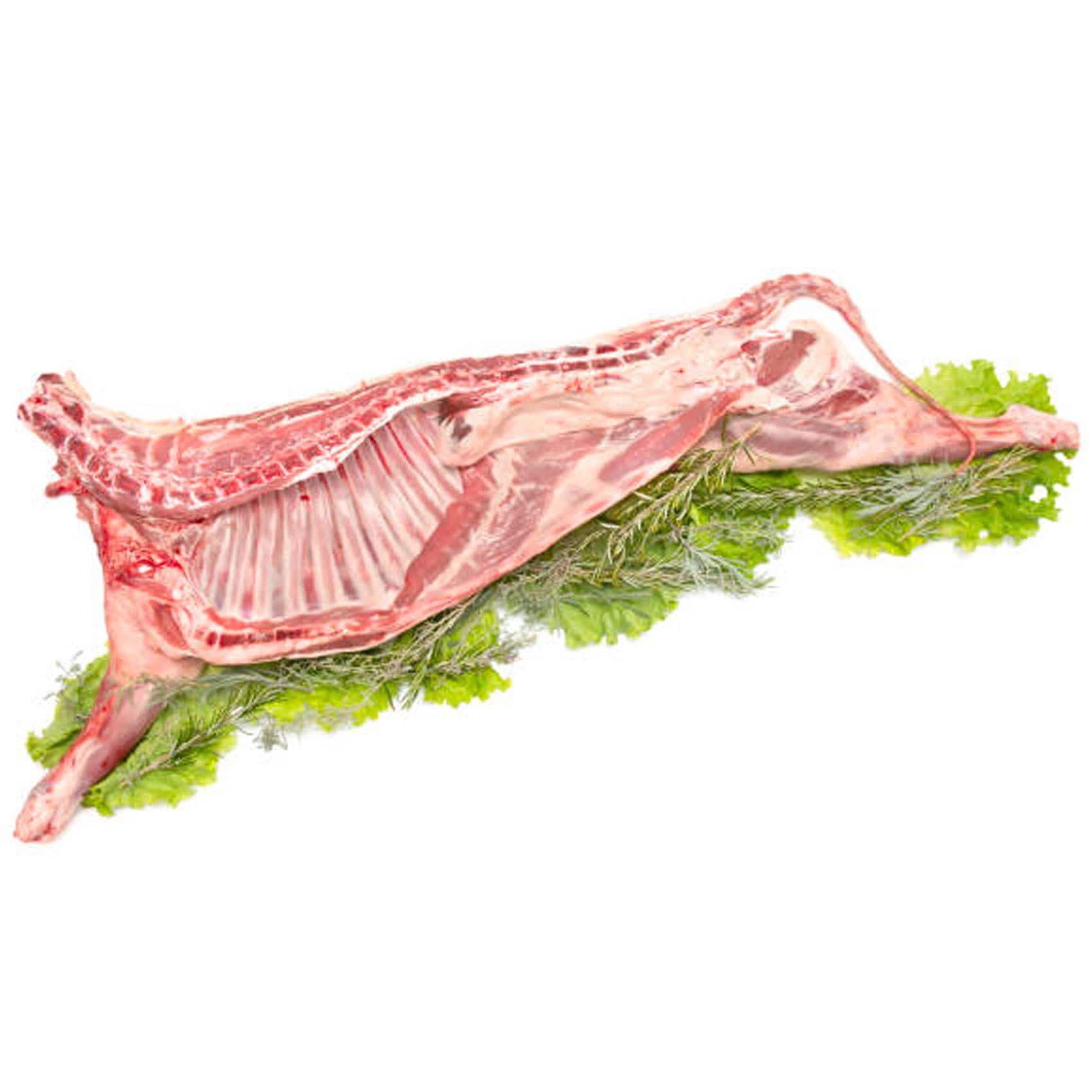 Jordan Fresh lamb product thumbnail 2