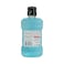 Listerine Mouthwash Total Care Tartar Proctect, Arctic Mint 250ml