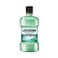 Listerine Total Care Gum Protect Mouthwash Fresh Mint 250ml