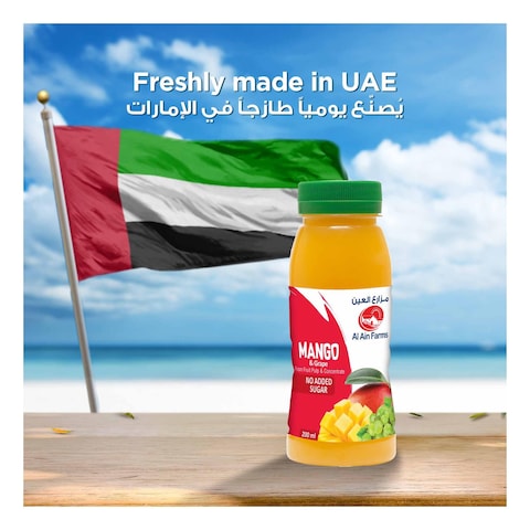 Al Ain Mango And Grape Juice 200ml