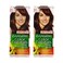 Garnier Color Naturals 4.6 Burgundy 2 Pieces