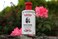 Thayers Natural Remedies - Facail Toner Witchhazel Aloe Vera Formula Rose Petal