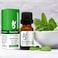 Beauty Voc Peppermint Oil Organic & Herbal Oils - 10ML