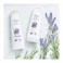 Dove Thickening Ritual Shampoo with Lavender - 400ml