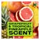 Axe Epic Fresh Deodorant Spray Non-Stop Grapefruit And Tropical Pineapple Scent 150ml
