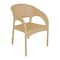 Plastic Bamboo Chair