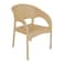 Plastic Bamboo Chair