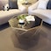 Yulan Octagonal Shape Coffee Table With Black Tempered Glass Top And Gold Finishings (60X30) 633