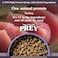 Taste of the Wild Prey Turkey Formula for Cat with Limited Ingredients 2.72kg  (CAT)