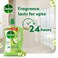 Dettol Antibacterial Floor Cleaner Green Apple Scent, 3L