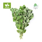 Buy Techno Farm Organic Oregano Tray - 50g in Saudi Arabia