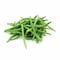 French Beans